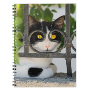 Curious Cat with Spectacles Frame Funny Photocover Spiral Notebook