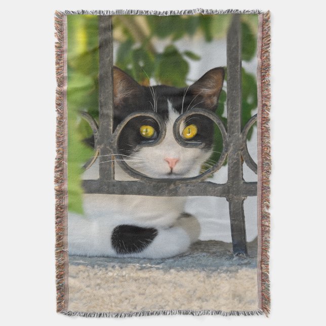 Curious Cat with Spectacles Frame Funny - soft Throw Blanket (Front Vertical)