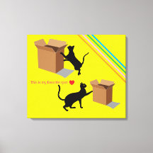 Curious Cats and Their Favorite Box Canvas Print