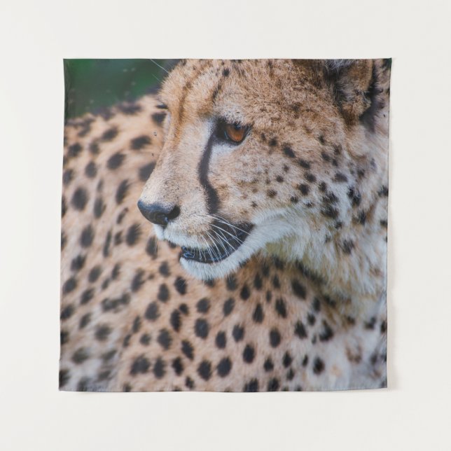 CURIOUS CHEETAH TAPESTRY (Front)