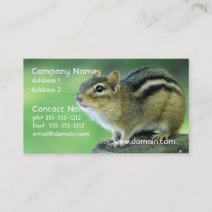 Curious Chipmunk Business Cards