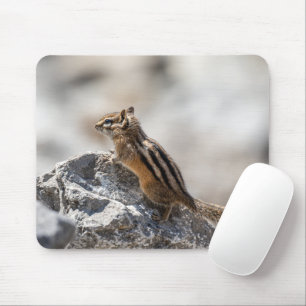 Curious Chipmunk – Canadian Wildlife Photography Mouse Pad
