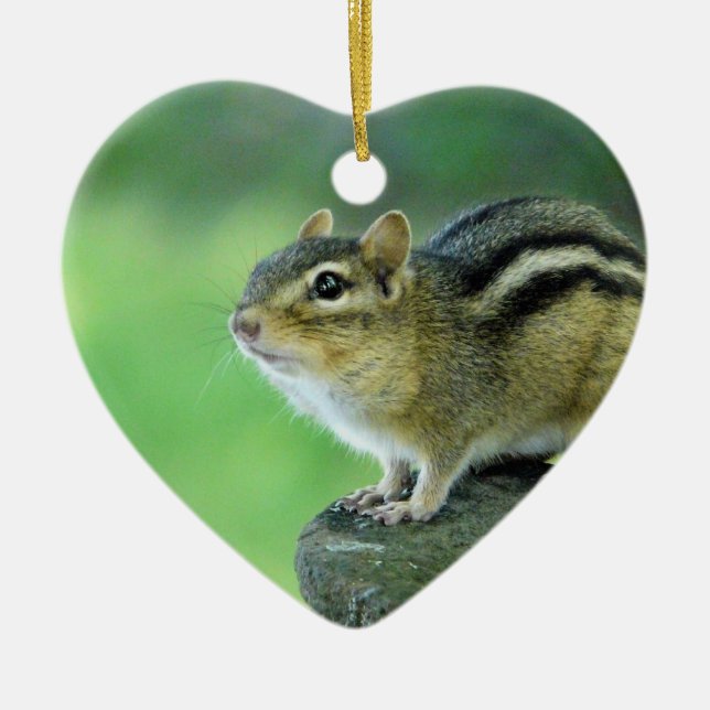 Curious Chipmunk  Ornament (Front)