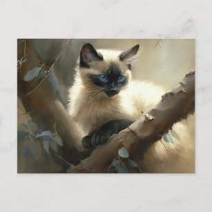 Curious Climber Siamese Kitten Postcard