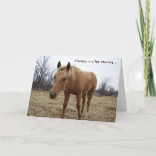 Curious Colt - Birthday Card