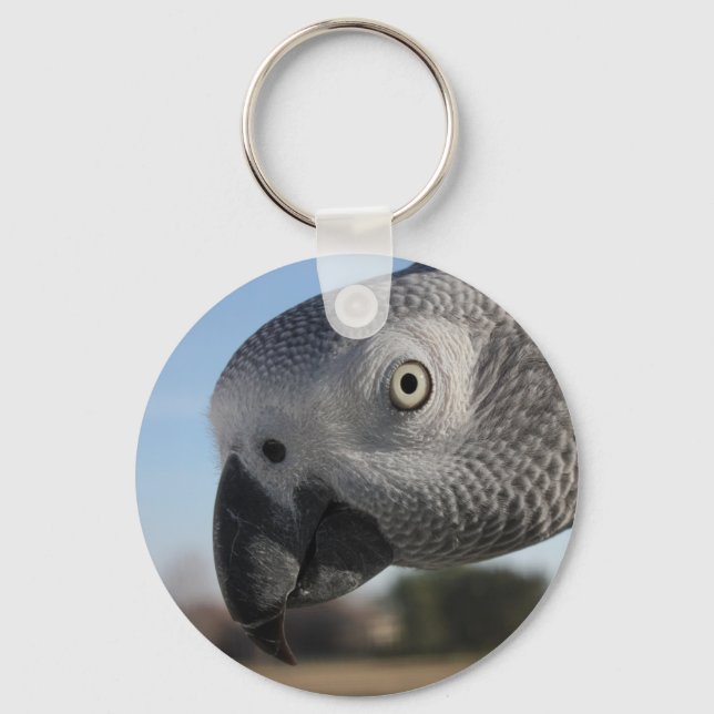 Curious Congo African Grey Parrot Key Ring (Front)