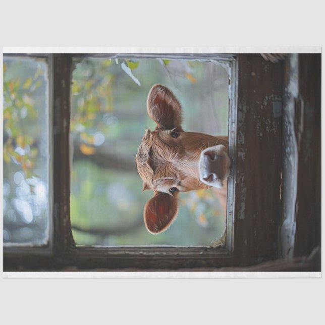 Curious Cow Looking Through a Window Decoupage Tissue Paper (Front)
