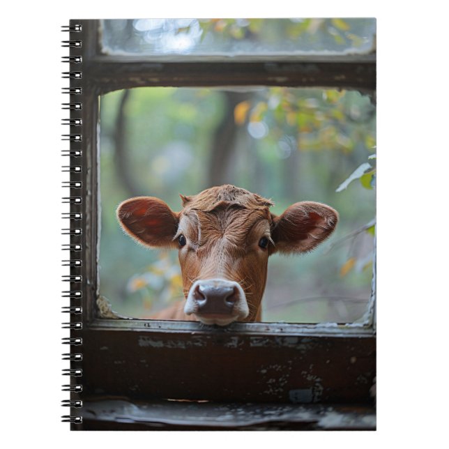 Curious Cow Looking Through a Window Notebook (Front)