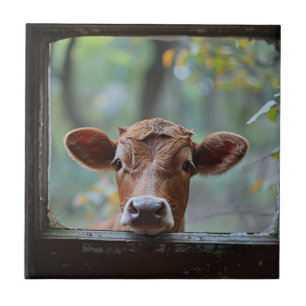 Curious Cow Looking Through a Window Tile