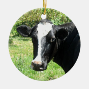 Curious Cow Ornament