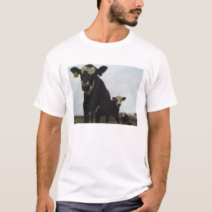 Curious Cows 2 Tee