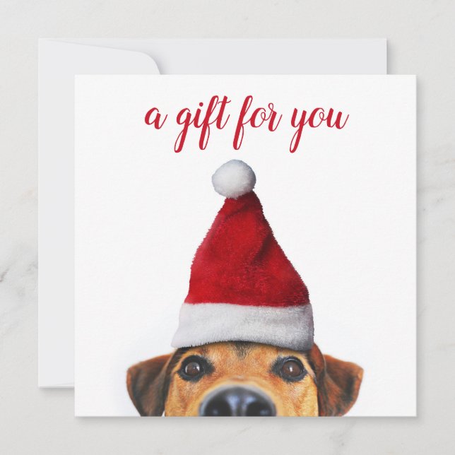 Curious Cute Funny Dog with Santa Hat Gift Card (Front)
