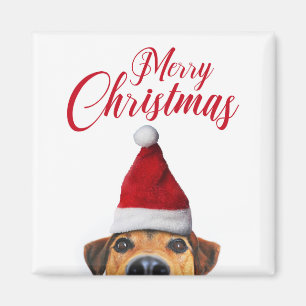 Curious Cute Funny Dog with Santa Hat Magnet