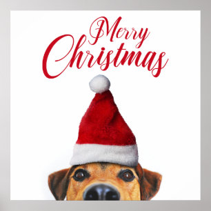 Curious Cute Funny Dog with Santa Hat Poster