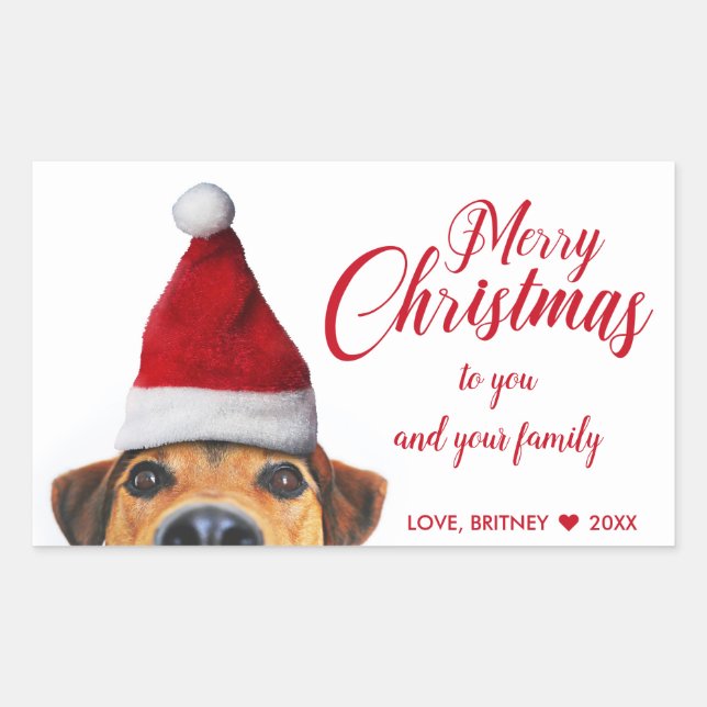 Curious Cute Funny Dog with Santa Hat Rectangular Sticker (Front)