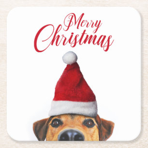 Curious Cute Funny Dog with Santa Hat Square Paper Coaster
