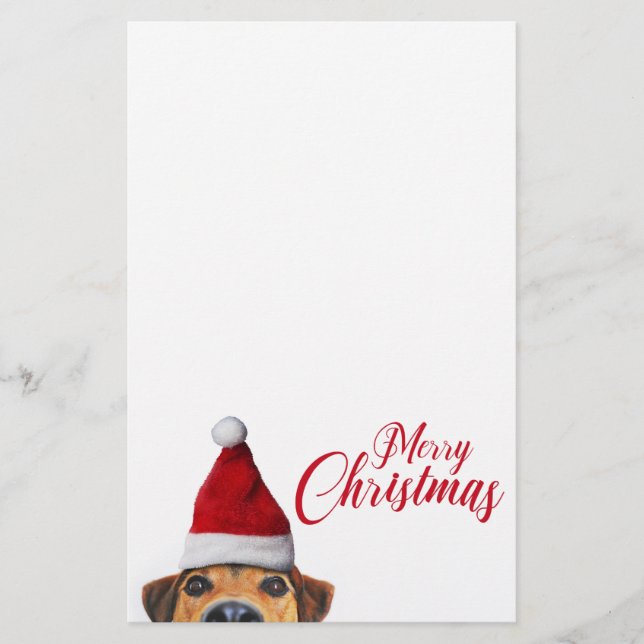 Curious Cute Funny Dog with Santa Hat Stationery (Front)