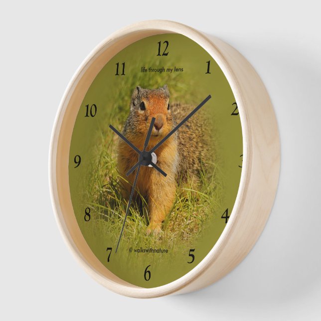 Curious Cute Hungry Columbian Ground Squirrel Clock (Angle)