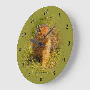 Curious Cute Hungry Columbian Ground Squirrel Large Clock