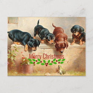 Curious Dachshund Puppies and a Frog, Christmas Postcard