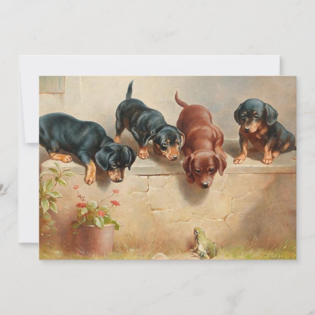 Curious Dachshund Puppies | Carl Reichert (Front)