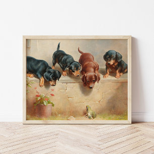 Curious Dachshund Puppies   Carl Reichert Poster