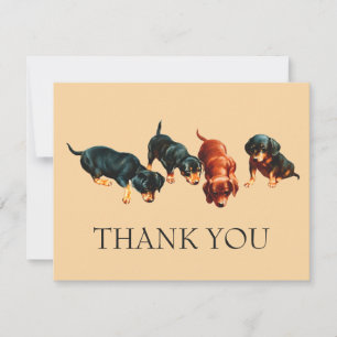 Curious Dachshund Puppies Vintage Wiener Dogs Thank You Card