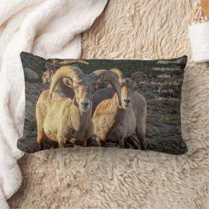 Curious Desert Bighorn Sheep Ram And Ewes Lumbar Cushion