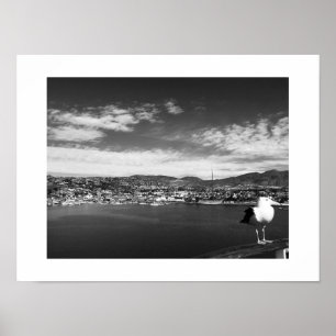 Curious Fellow Bird Black and White Photography Poster