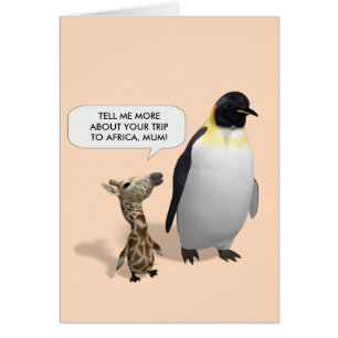 Curious Giraffe Baby