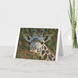 Curious Giraffe Card