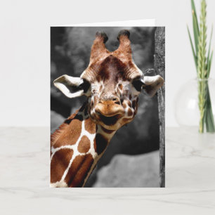 Curious Giraffe Greeting Card