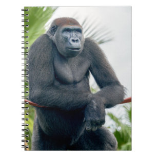 Curious Gorilla Standing Tall Notebook