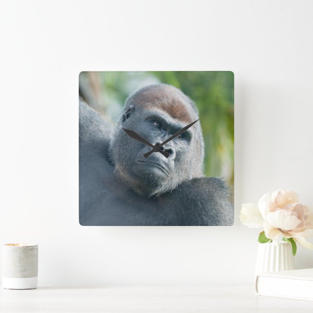 Curious Gorilla Standing Tall Square Wall Clock (Home)