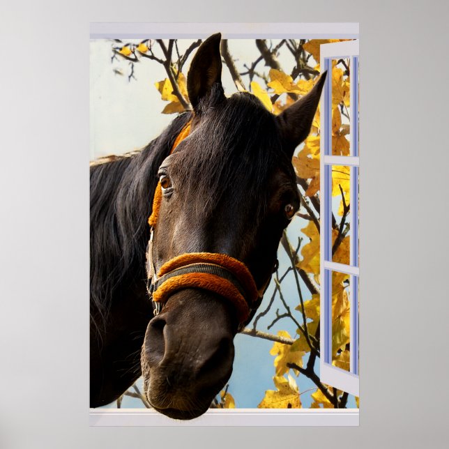 Curious Horse Looking Through a Kitchen Window Poster (Front)