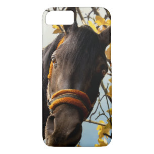 Curious Horse Looking Through The Kitchen Window Case-Mate iPhone Case