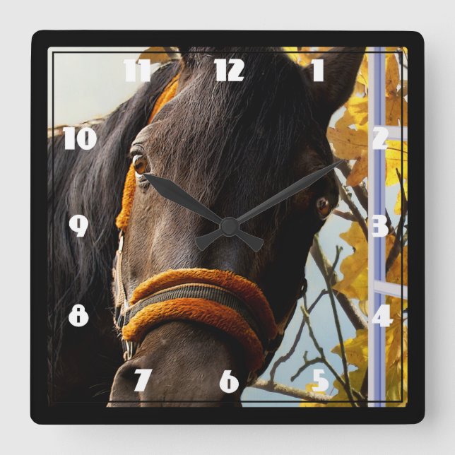 Curious Horse Looking Through The Kitchen Window Square Wall Clock (Front)