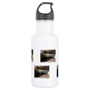 Curious Iguana 532 Ml Water Bottle