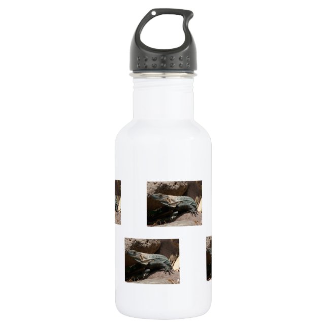 Curious Iguana 532 Ml Water Bottle (Front)