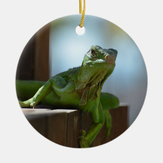 Curious Iguana Ceramic Tree Decoration (Front)