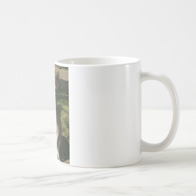 Curious Kangarooo Coffee Mug (Right)