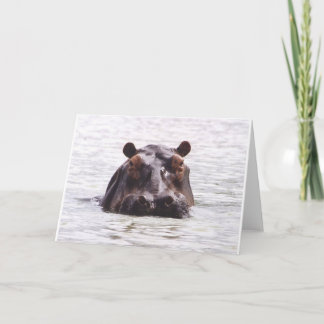 Curious Keeboko (Hippo) Card