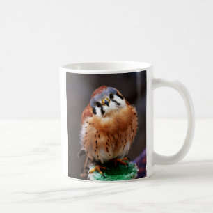 Curious Kestrel Coffee Mug