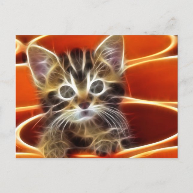 Curious Kitten Postcard (Front)