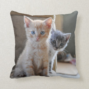 Curious Kittens Cushion