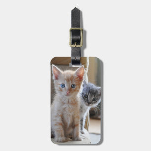 Curious Kittens Luggage Tag