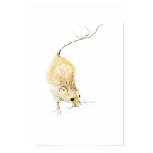 Curious Mouse Print