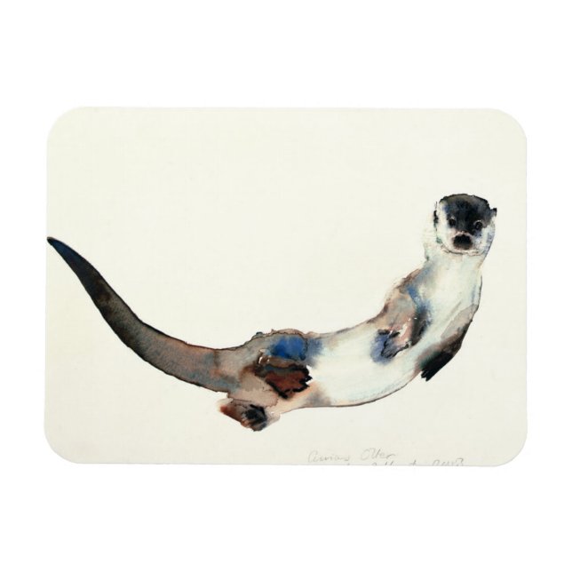 Curious Otter 2003 Magnet (Horizontal)