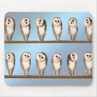 Curious owls