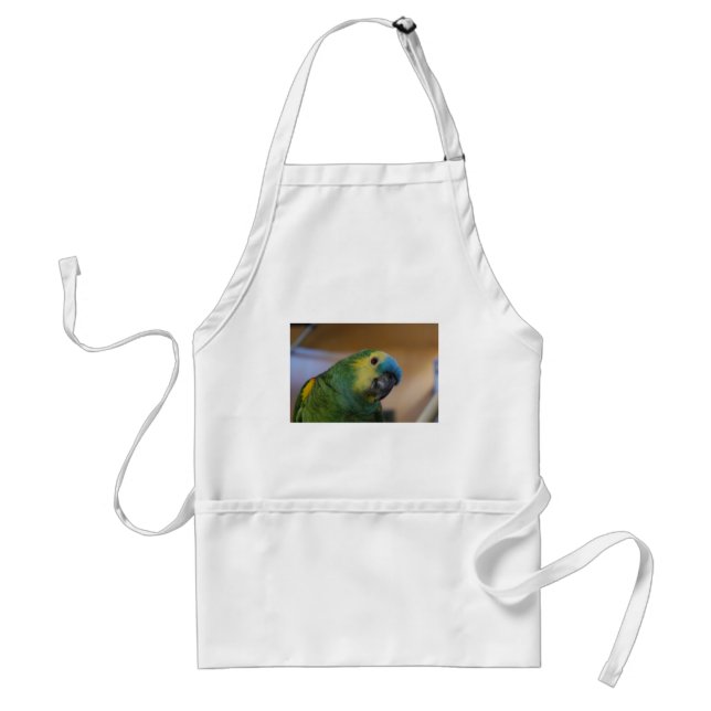 Curious Parrot Standard Apron (Front)